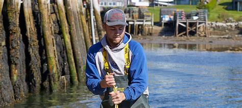 maine scallop lottery 2023|Online Scallop Lottery Application .